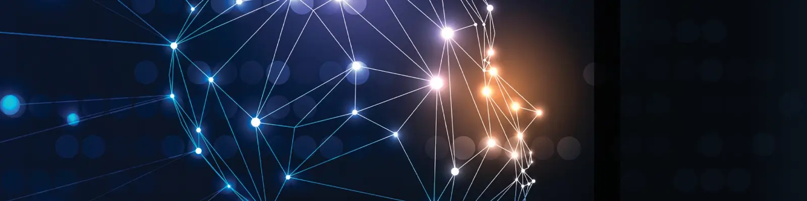 Network of connected nodes in the shape of a human head